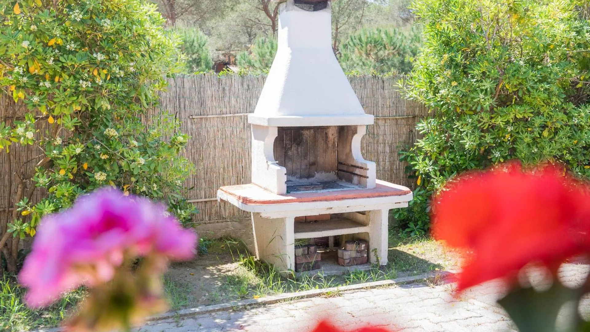 Villino Michela - Helloelba Villa Lacona Italy